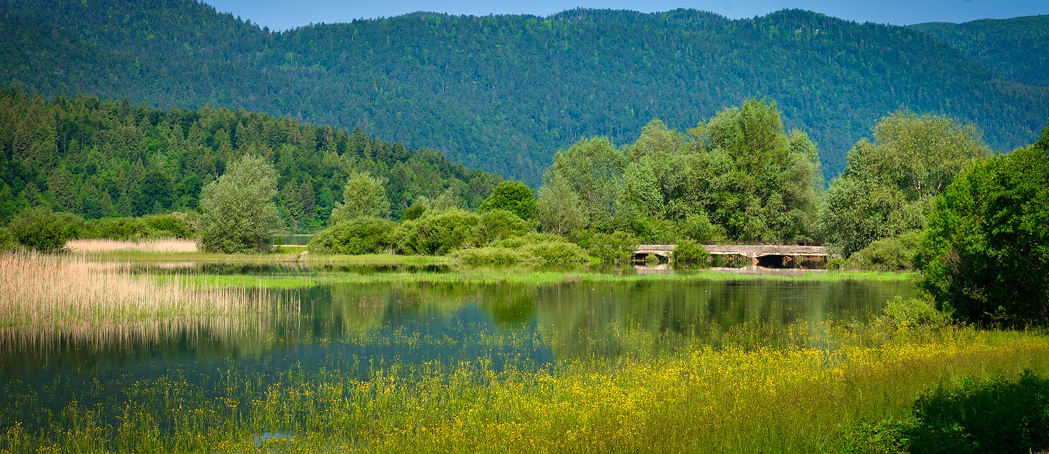 Lake Cerknica 5