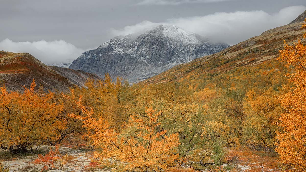 Dørålen Rondane Norge 3