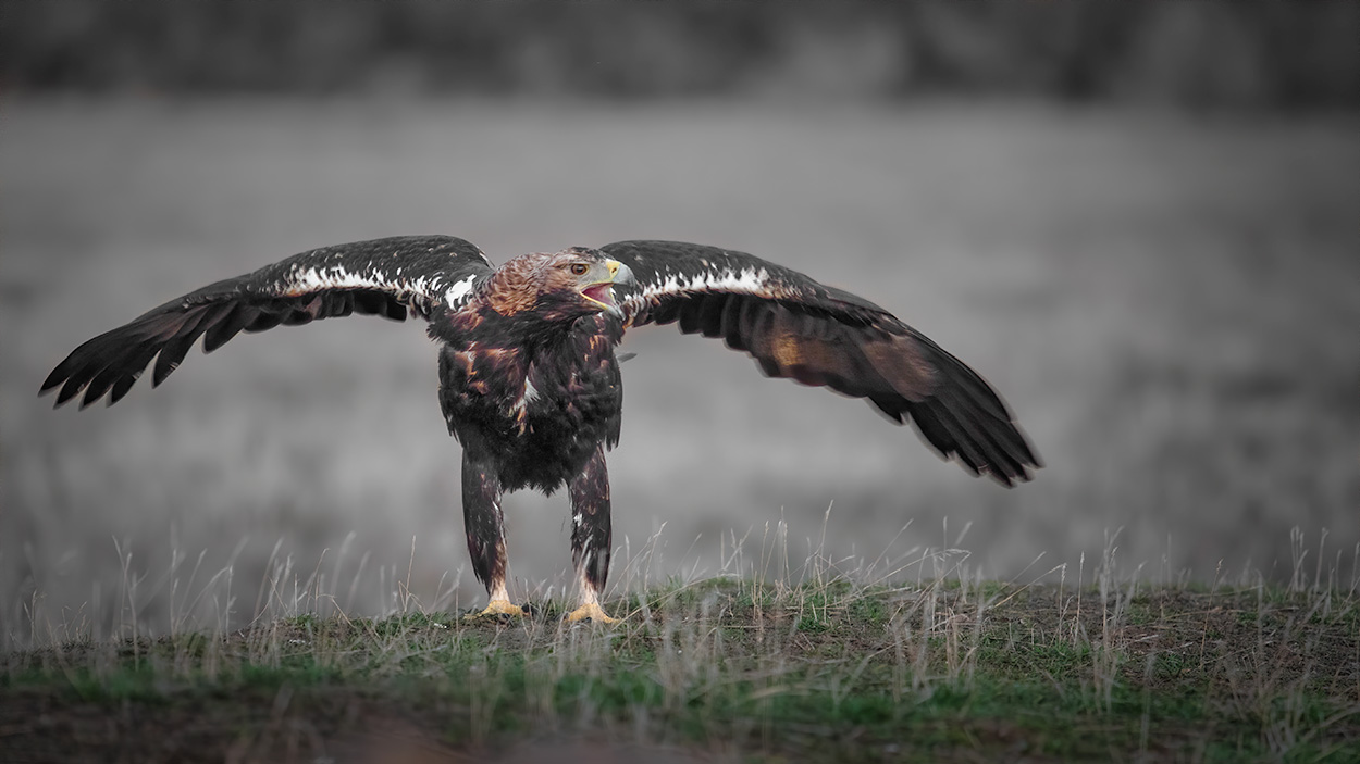 Fotografering Som Hobby Slider Billeder