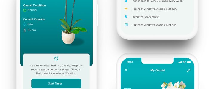 Case Study of a Plant Care App