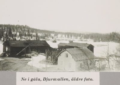 12-22 Ne i gåla