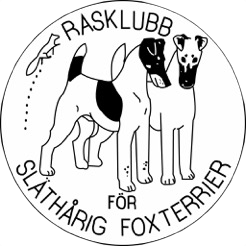 Rasklubb för Släthårig Foxterrier
