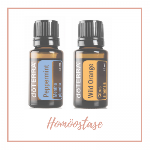 Homöostase AromaTouch
