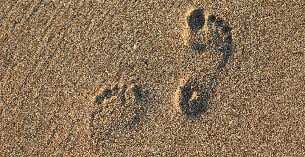 footprint, footstep, imprint