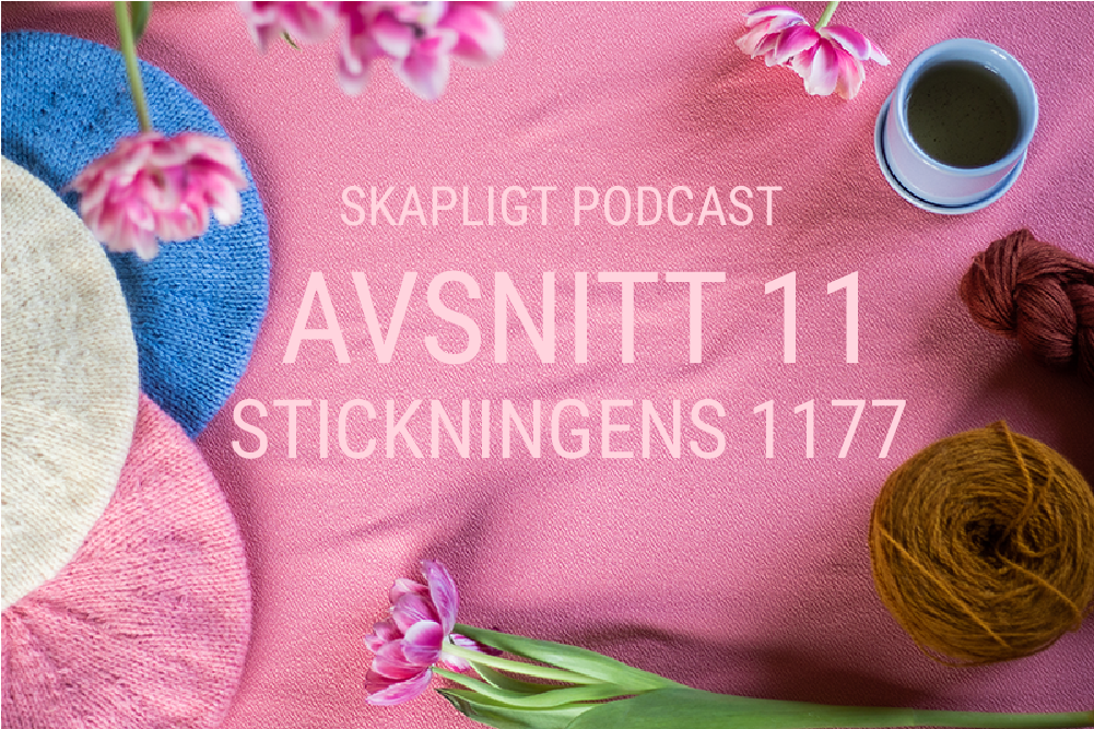 Avsnitt 11: Stickningens 1177