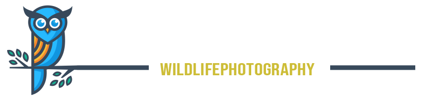 Fredrik Lindbom - Naturephotography
