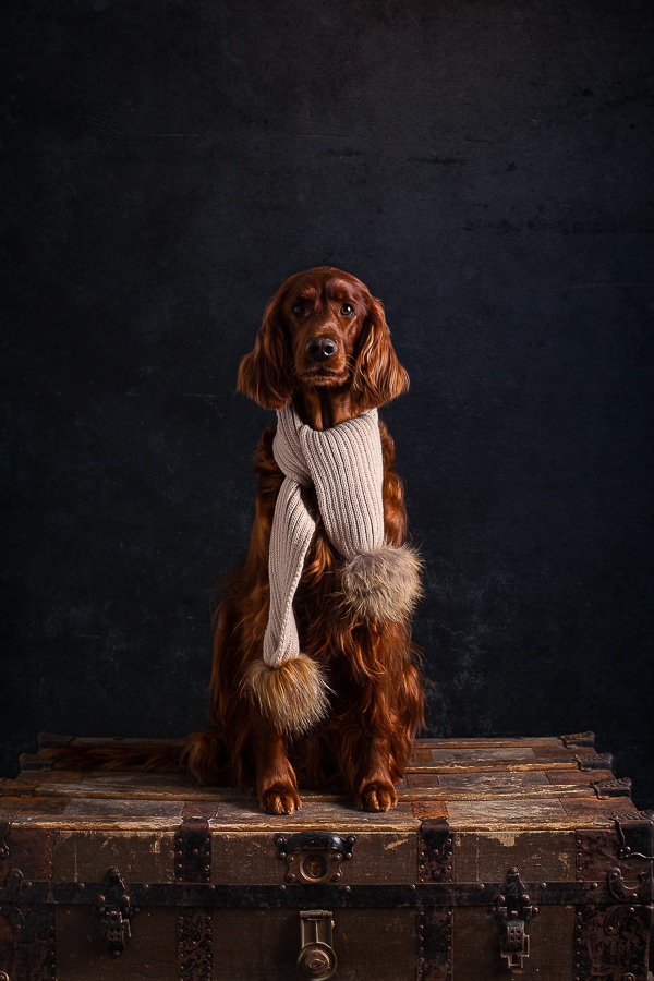 FREJA HOUSE PHOTOGRAPHY-3