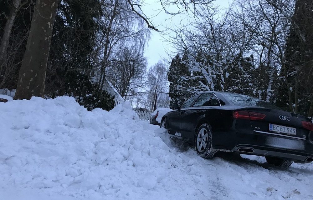 Lærerige udfordringer på Testrup