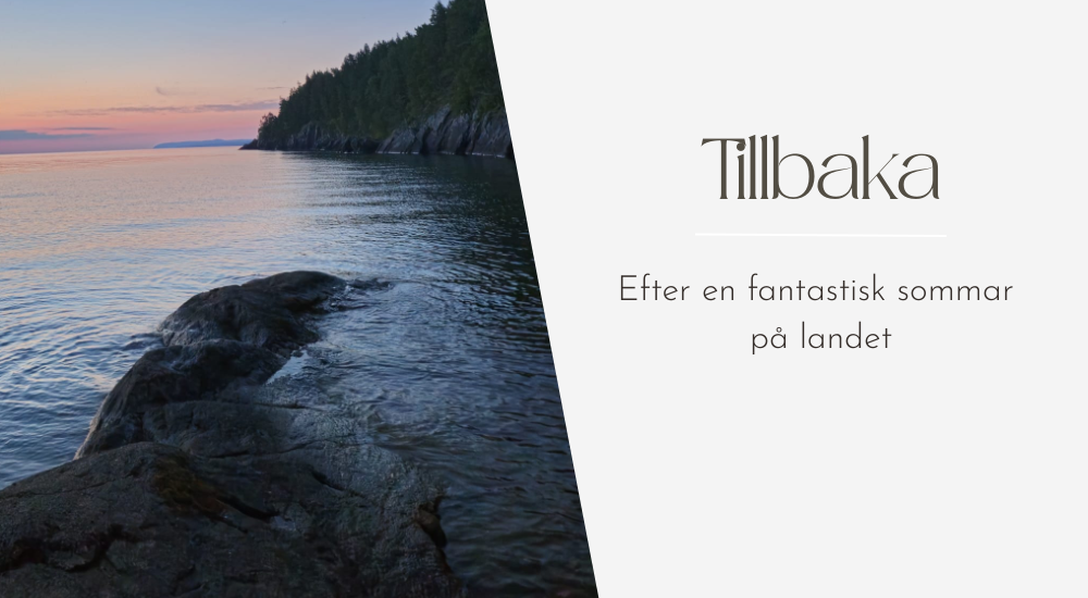 tillbaka till verkligheter