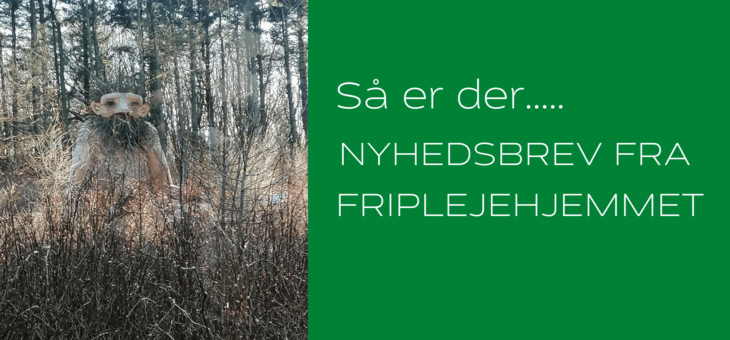 Nyhedsbrev