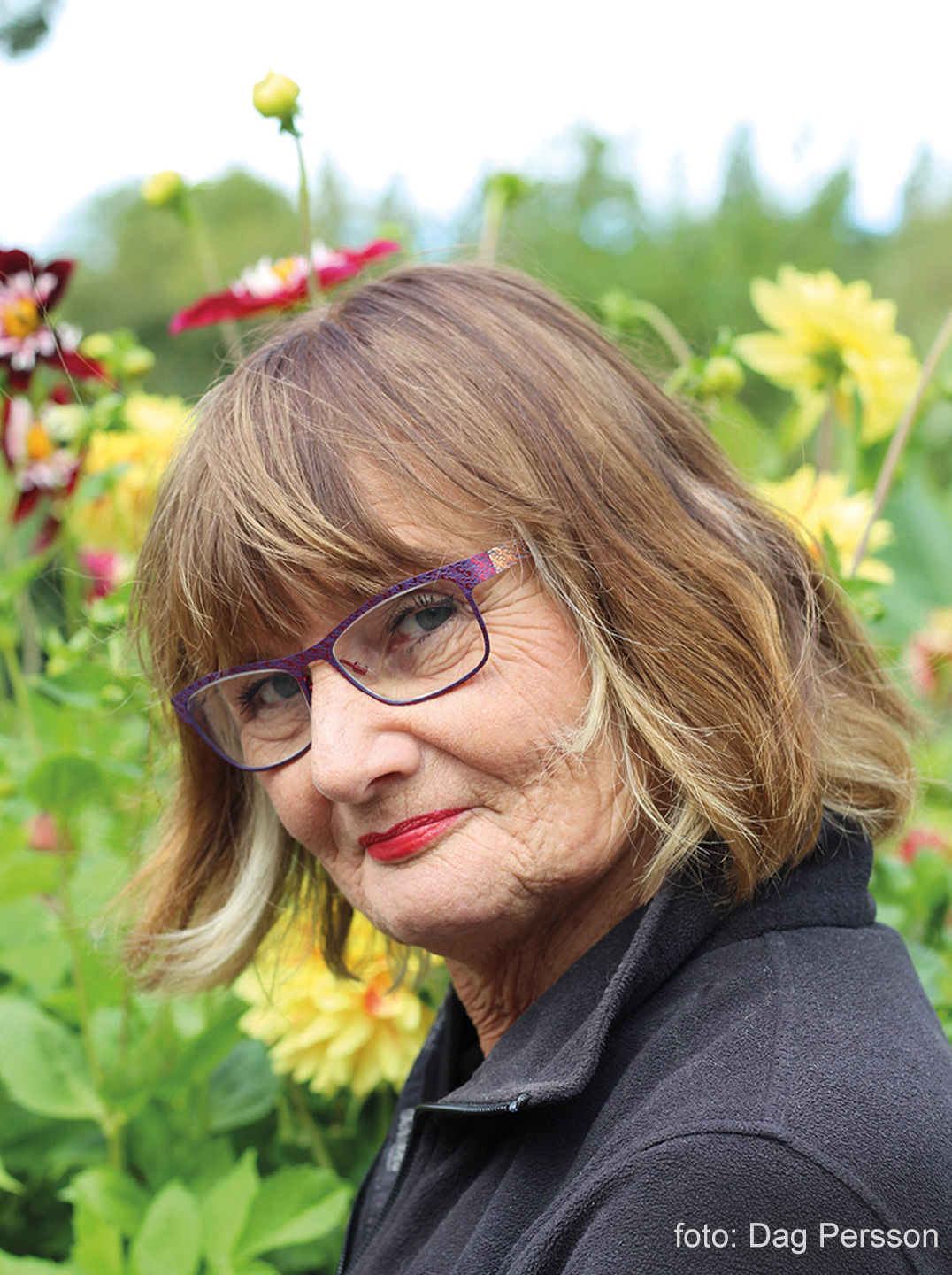 Porträtt av Helena Heyman, foto: Dag Persson