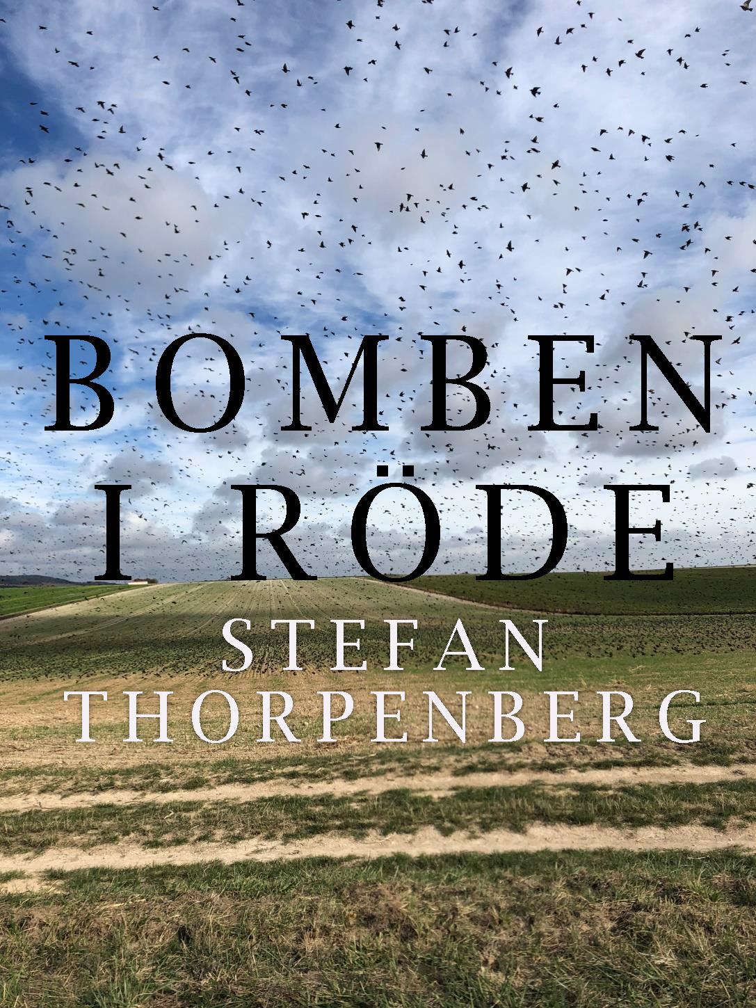 Omslaget till 'Bomben i Röde' av Stefan Thorpenberg