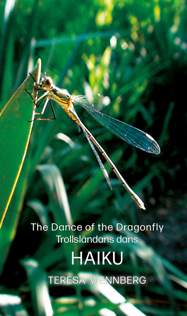 BILD: Omslag till Teresa Wennbergs 'The Dance of the Dragonfly • Trollsländans dans'