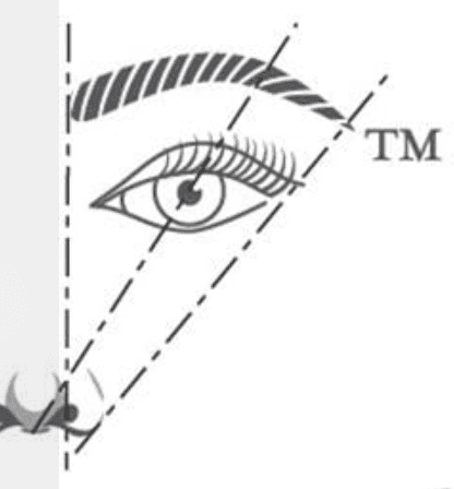 eye golden ratio - épilation sourcil régles d'or