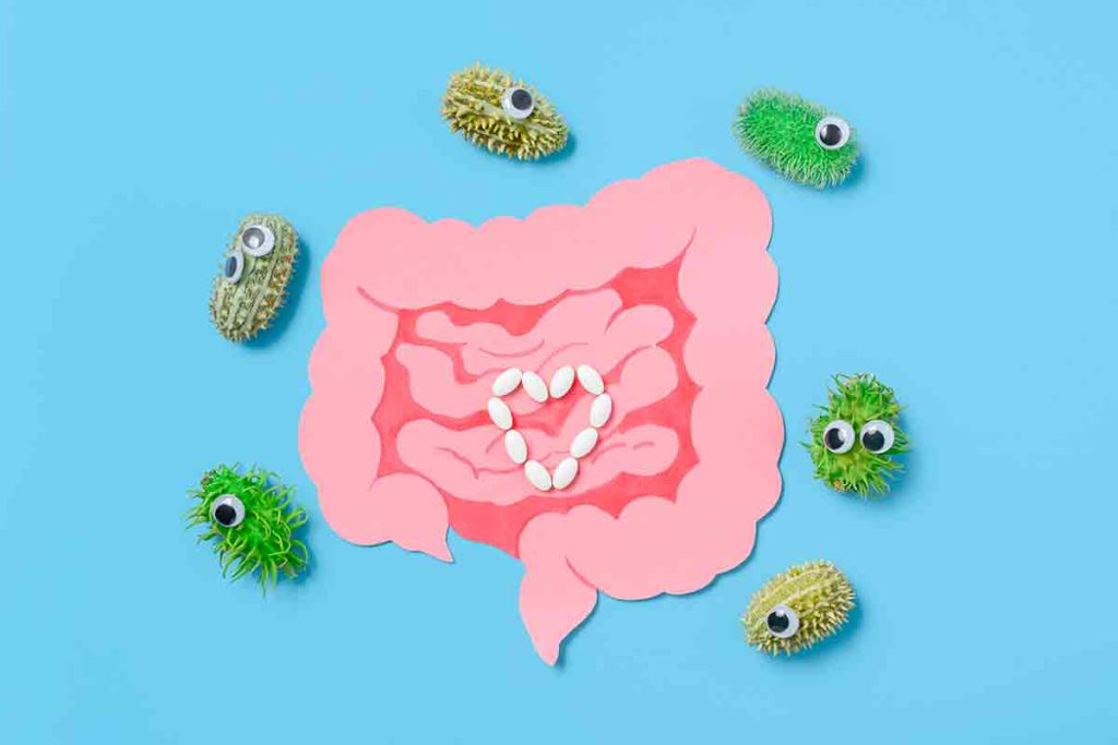 A quoi servent les probiotiques ?