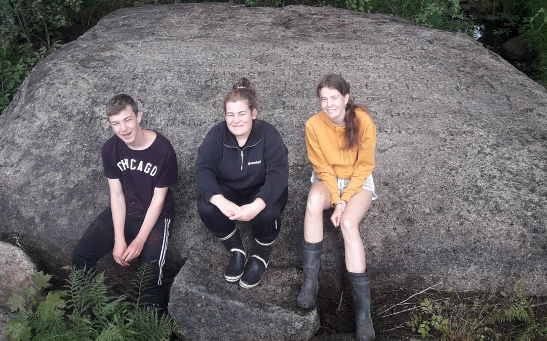 Hällen med Smålandssången rengjord