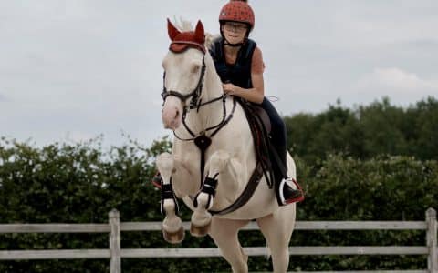 Finna (Infinity, v. Le Matsjo). 11-jarige Welsh D pony