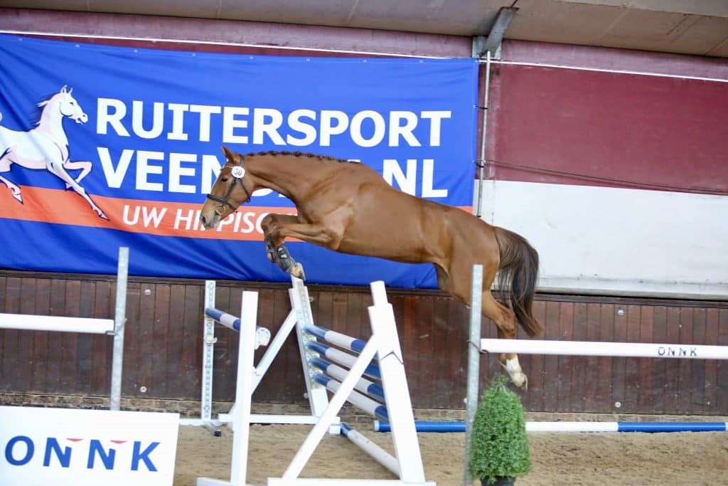 Sanita fan de Wetterput v. Lord of Farming