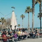 ihmisä ruokailemassa ulkona palmujen alla espanjassa