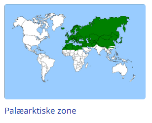 Palæaktiske zone