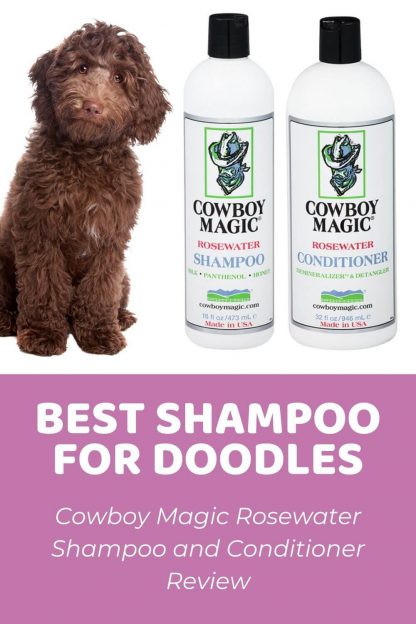 shampoo conditioner labradoodles cowboymagic
