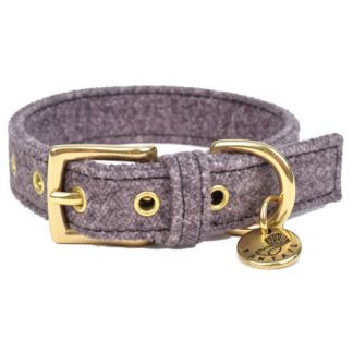 halsband fantail grijs