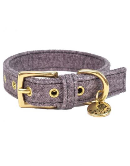 halsband fantail grijs