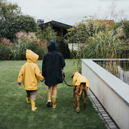 hunter regenjas geel familie hond Rhodesian ridgeback