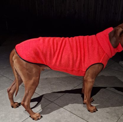 kevin jumper neon oranje sofadogwear