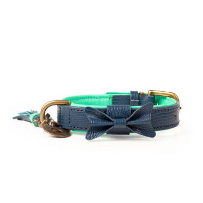 buster halsband dwam blauw klein