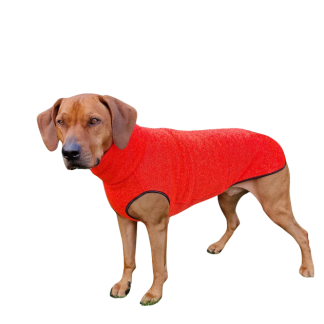 neon orange sofadogwear rhodesian ridgeback sweater