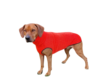 neon orange sofadogwear rhodesian ridgeback sweater
