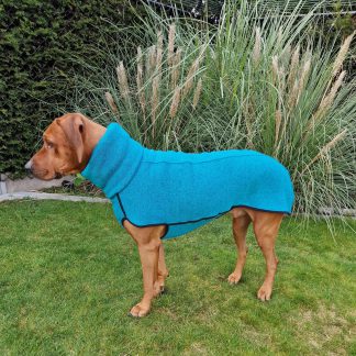 olympia kevin jumper sofa dogwear rhodesian ridgeback turquoise blauw b