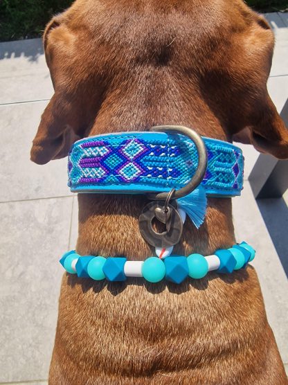 tekenband tropical blue glow rhodesian ridgeback