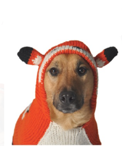 chilly dogs foxy sweater head