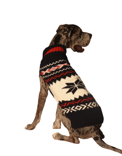 chilly dogs sweater navy vail