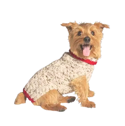 havermoutkabel sweater hond klein puppy