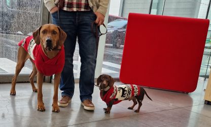 teckel sweater rood