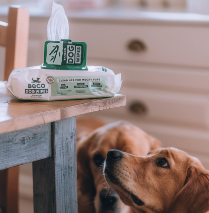 BECO DOG WIPES UNSCENTED é