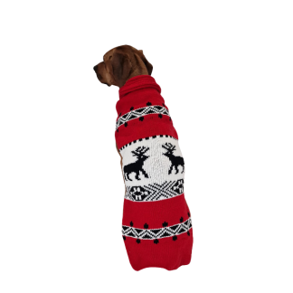 Red deer dog sweater rhodesian ridgeback teckel