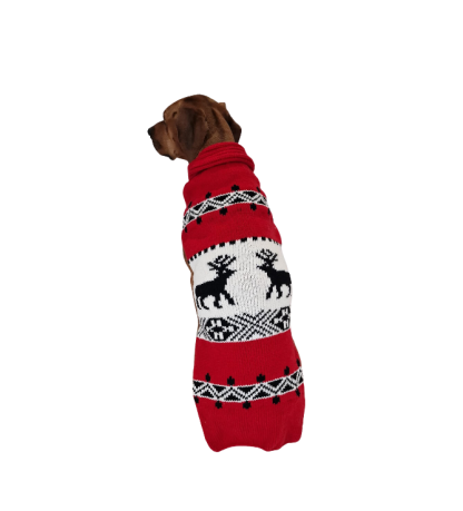Red deer dog sweater rhodesian ridgeback teckel