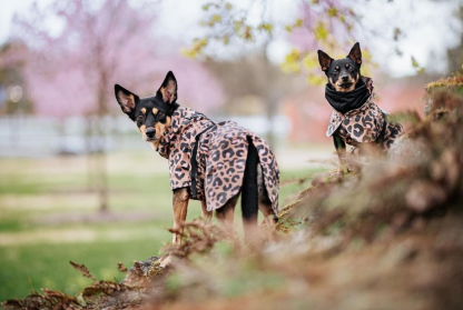 reflecterende jas hond luipaard lite