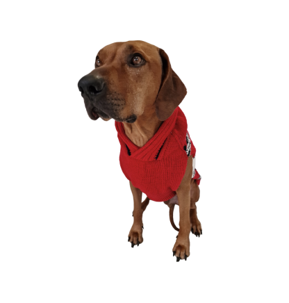 red deer dog sweater rhodesian ridgeback teckel s