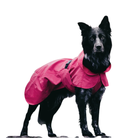 regenjas paikka hond hot pink