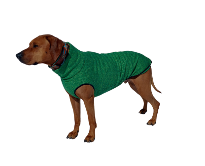 sweater green sofadogwear