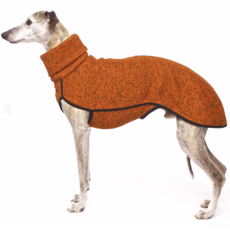 olympia jumper fox