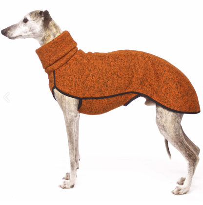 olympia jumper fox