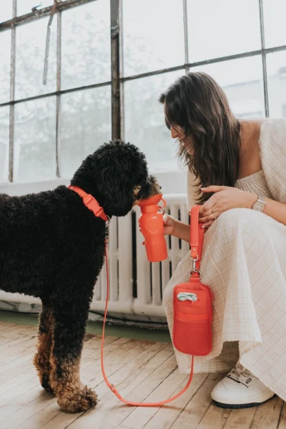 wandeltas springer rood hond