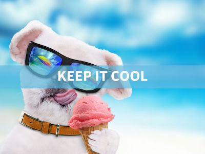 KEEP IT COOL 24 BANNER (400 x 300 px)