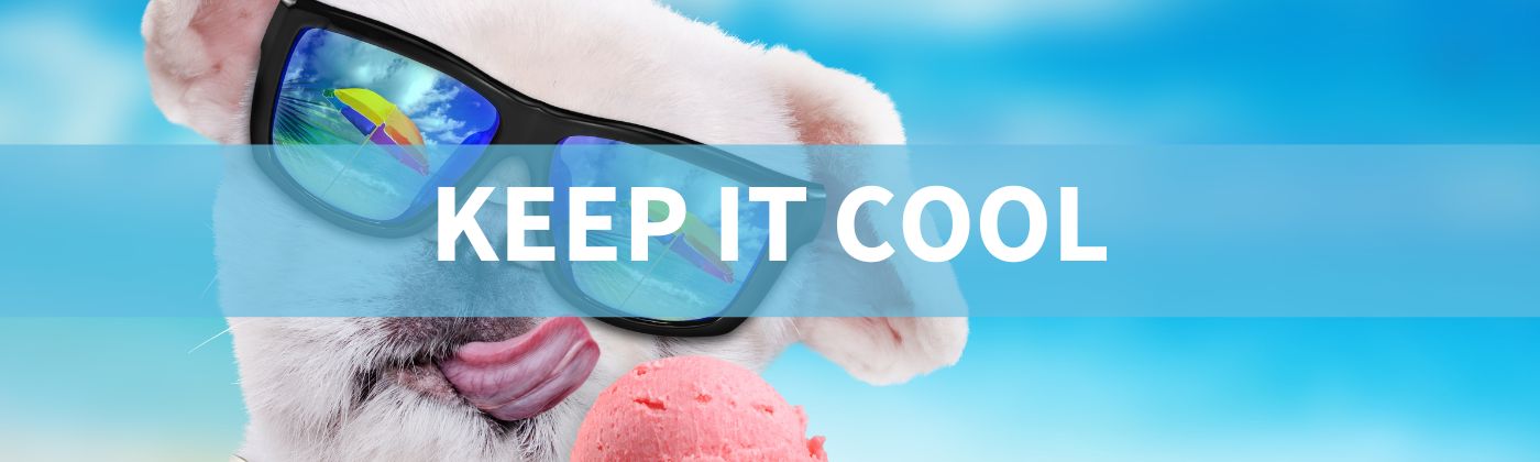 KEEP IT COOL BANNER ZOMER 24